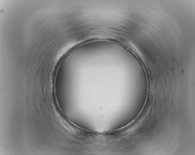 X0000089430787200707061342