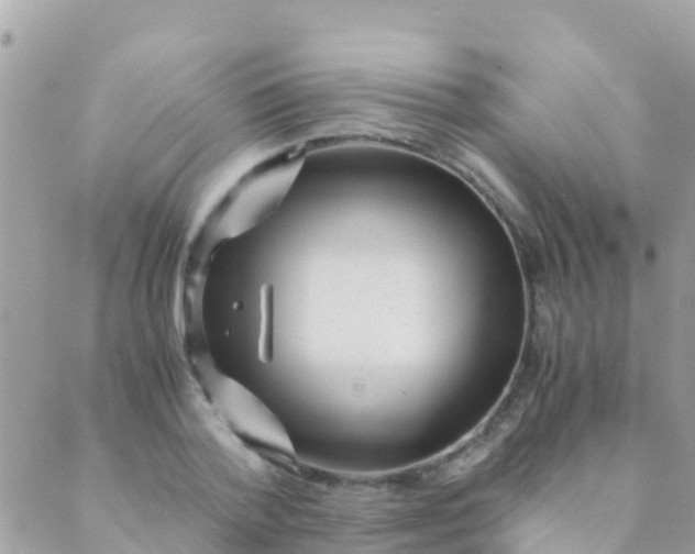 X0000089430788200707061342