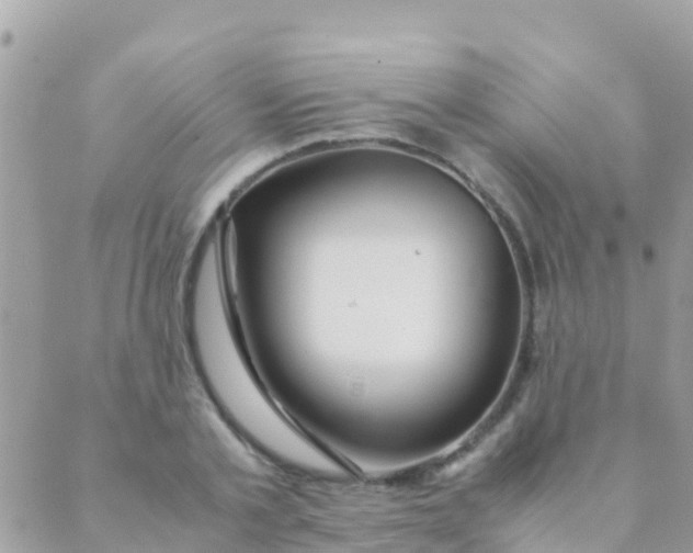 X0000089430789200707061342