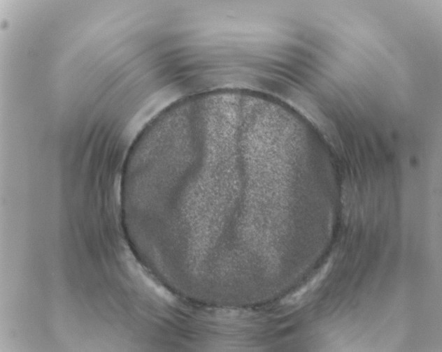 X0000089430790200707061342