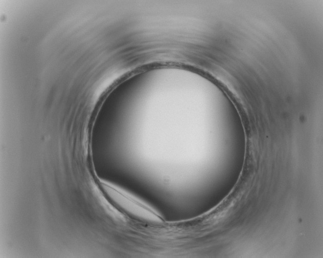 X0000089430791200707061342