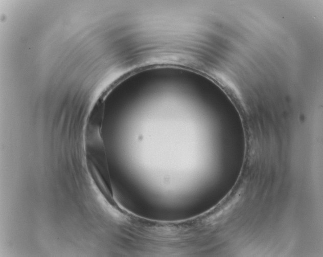 X0000089430792200707061342