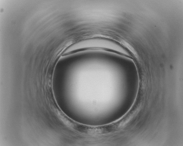 X0000089430793200707061342