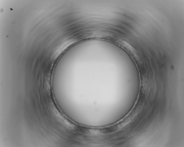 X0000089430794200707061342