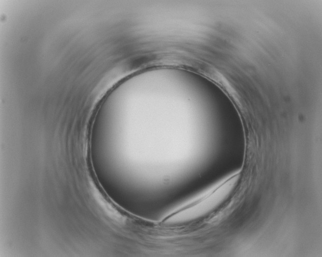 X0000089430795200707061342