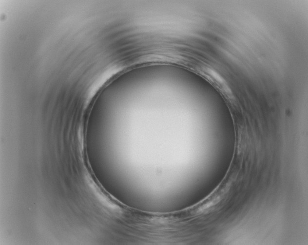 X0000089430796200707061342