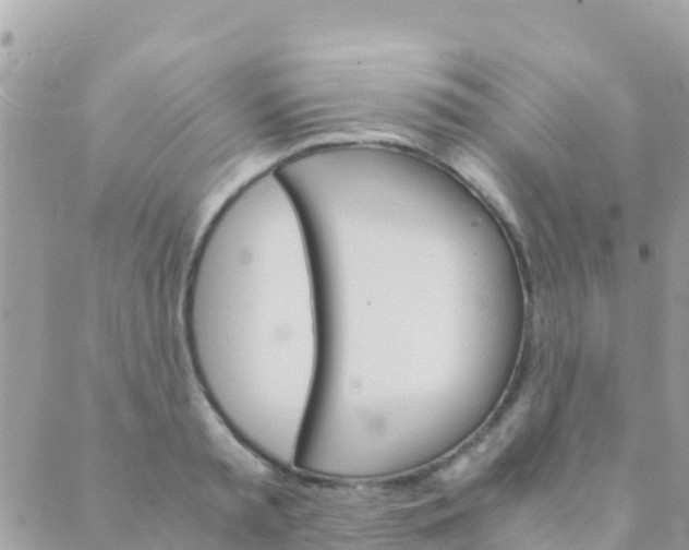 X0000089430797200707061342