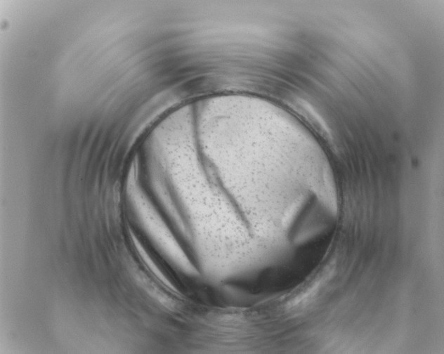 X0000089430798200707061342