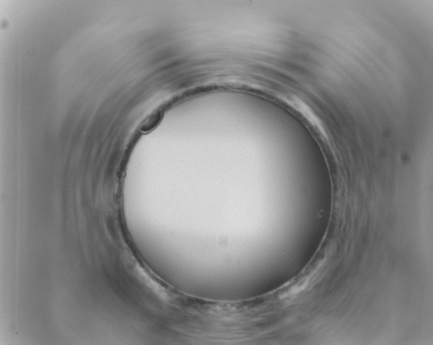 X0000089430799200707061342