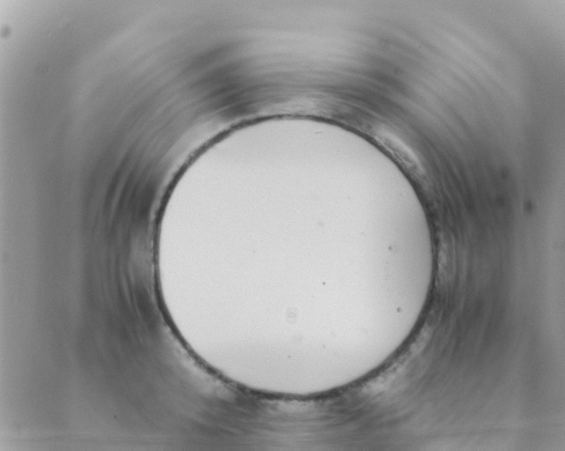 X0000089430800200707061342