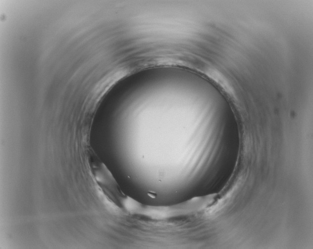 X0000089430801200707061342