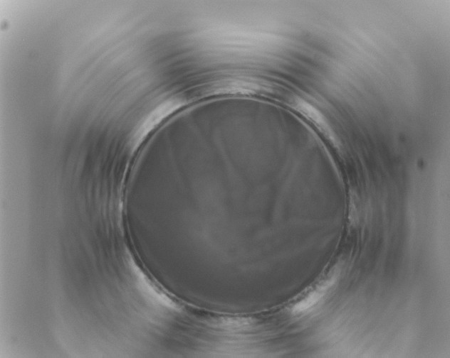 X0000089430802200707061342