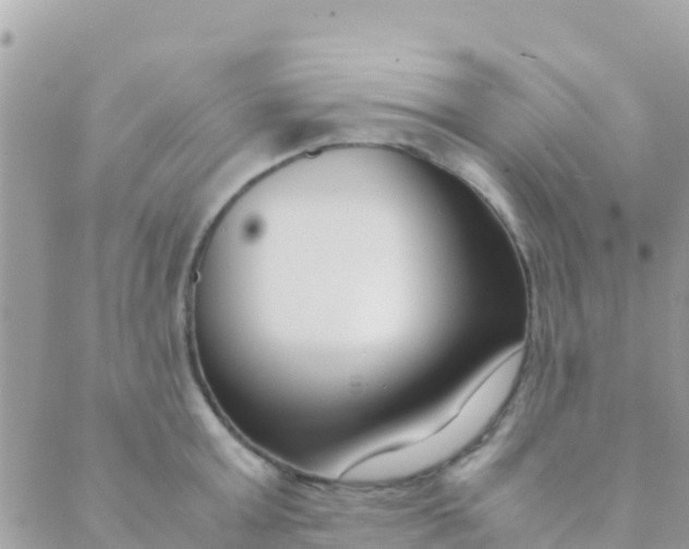 X0000089430803200707061342