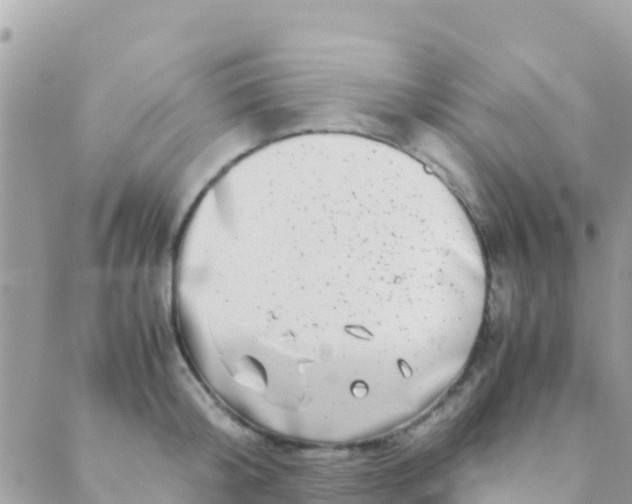 X0000089430804200707061342