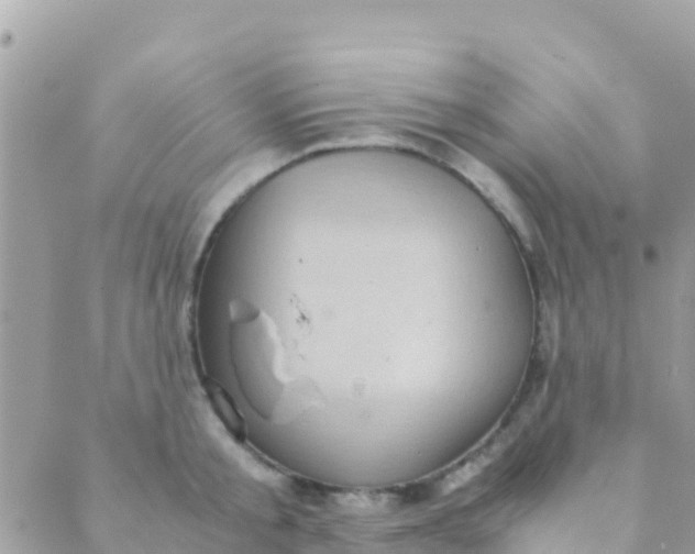 X0000089430805200707061342