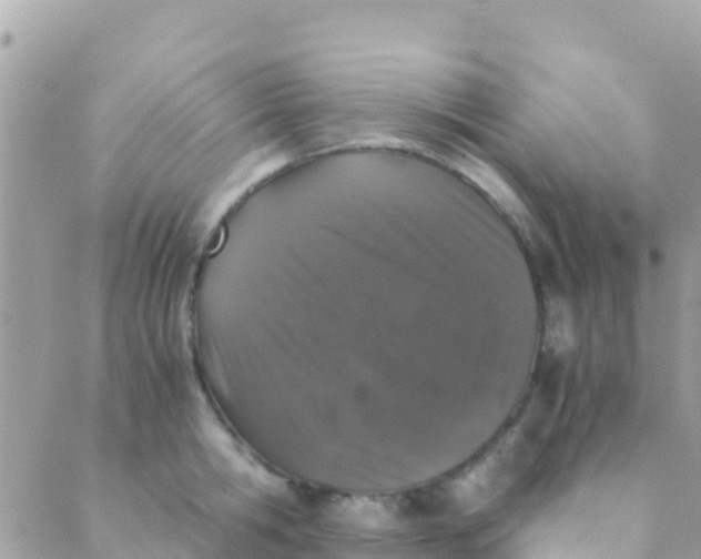 X0000089430806200707061342