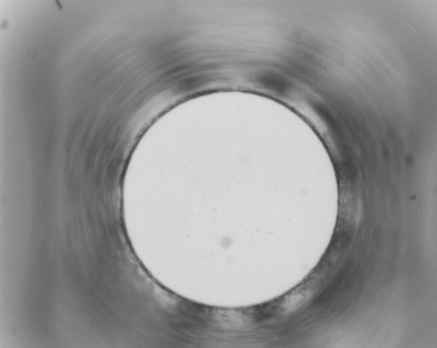 X0000089430807200707061342