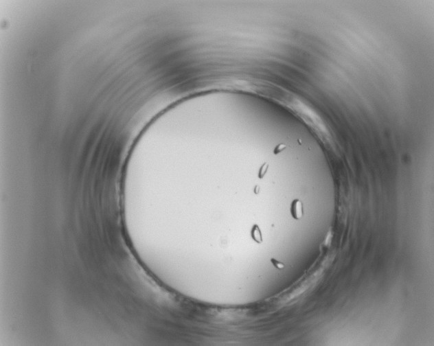 X0000089430808200707061342