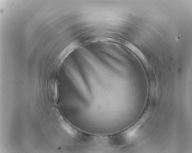 X0000089430809200707061342