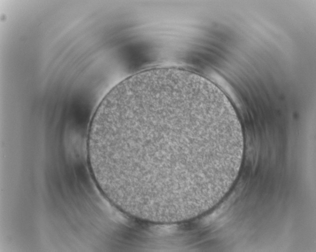 X0000089430810200707061342