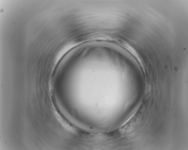 X0000089430811200707061342