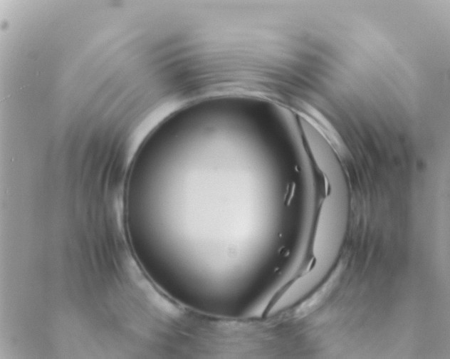 X0000089430812200707061342