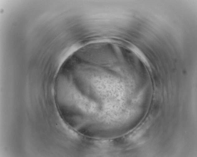 X0000089430813200707061342