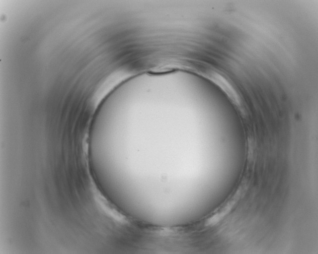 X0000089430814200707061342