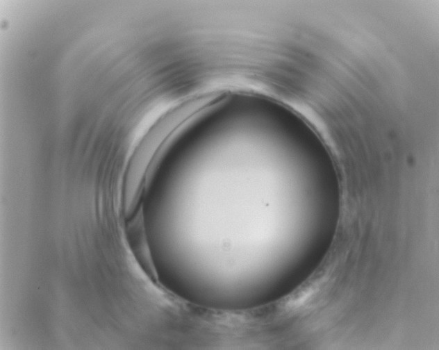 X0000089430815200707061342