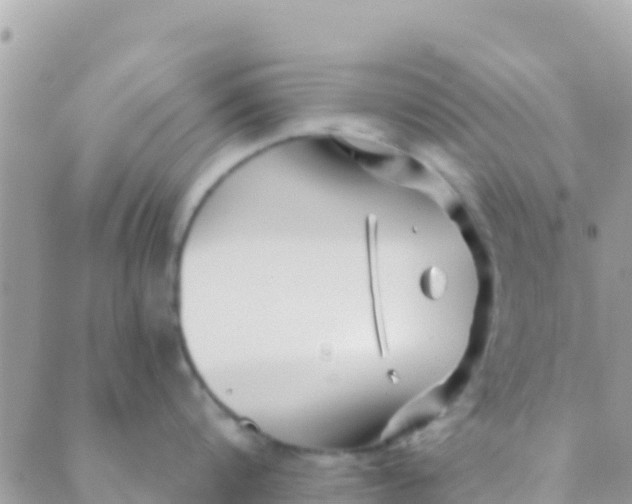 X0000089430816200707061342