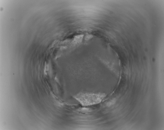 X0000089430818200707061341