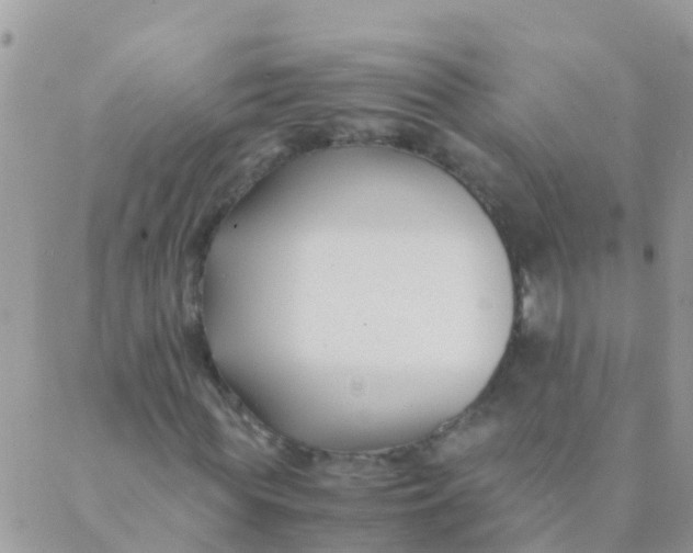 X0000089430819200707061341