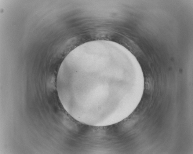 X0000089430820200707061341