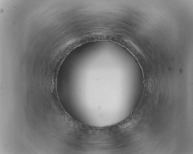 X0000089430821200707061341