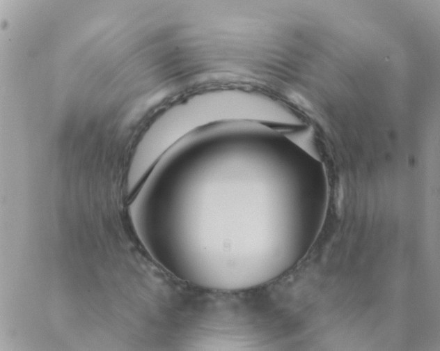 X0000089430822200707061341