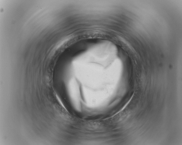 X0000089430823200707061341