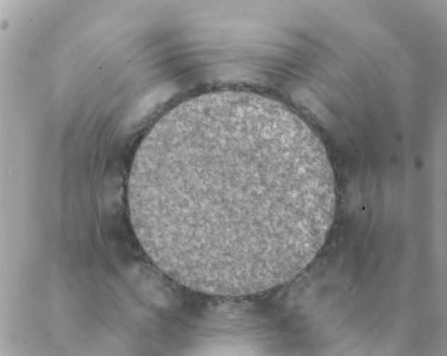 X0000089430824200707061341