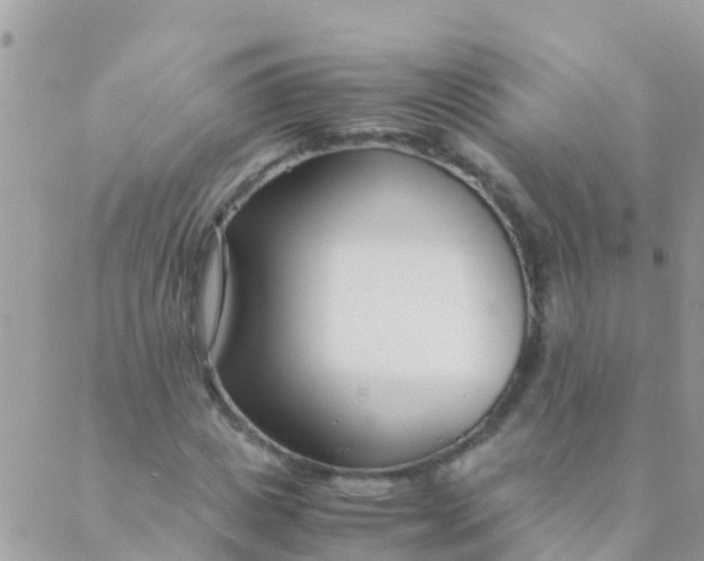 X0000089430825200707061341