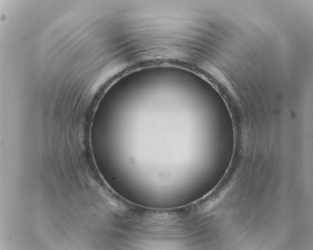 X0000089430826200707061341