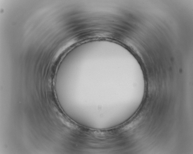 X0000089430827200707061341