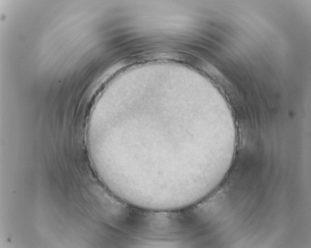 X0000089430828200707061341