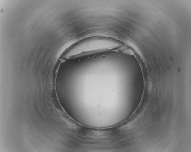 X0000089430829200707061341