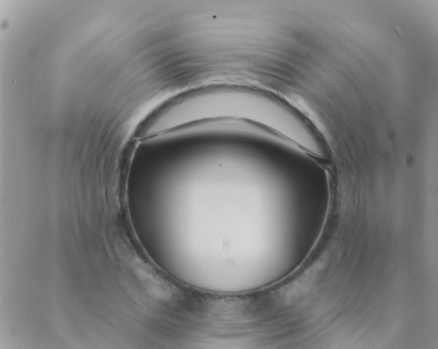 X0000089430830200707061341