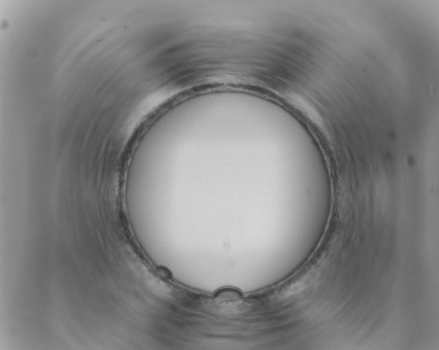 X0000089430831200707061341