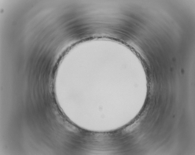 X0000089430832200707061341