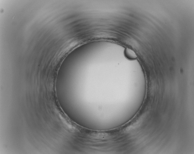 X0000089430833200707061341