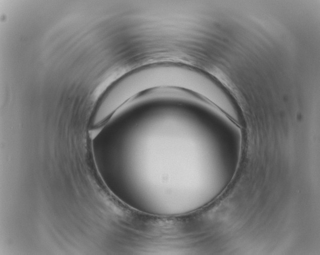 X0000089430834200707061341