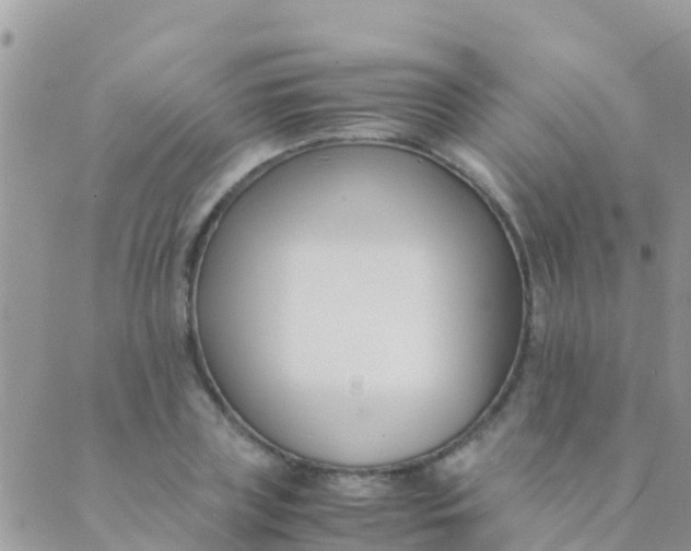 X0000089430835200707061341