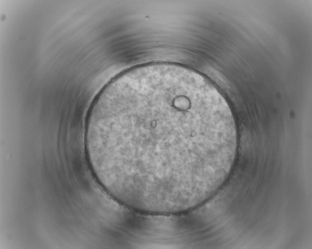 X0000089430836200707061341