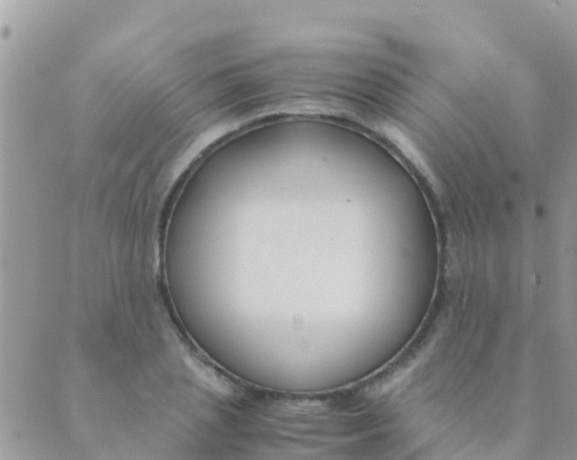 X0000089430837200707061341